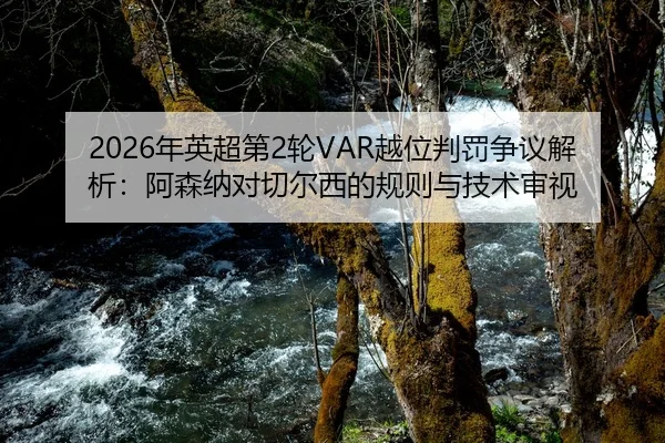 nian-ying-chao-di-lun-yue-wei-pan-fa-zheng-yi-jie-xi-a-sen-na-dui-qie-er-xi-de-gui-ze-yu-ji-shu-shen-shi-2-738.jpg